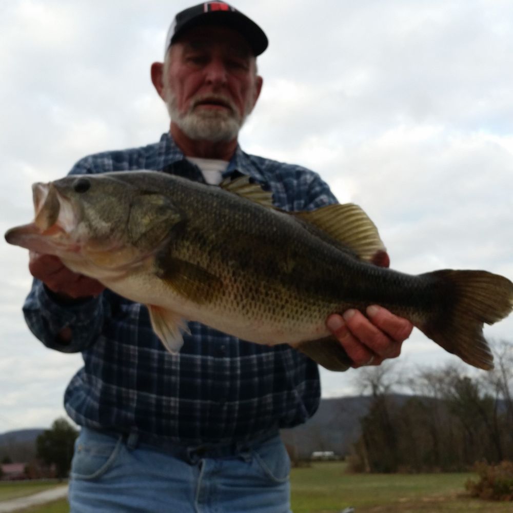 Meet your Posher, Randy